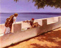fabres the young snake charmer Art A4 Photo Print
