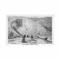 falklands isl sea lion rookery malvina series Vintage A4 Photo Print