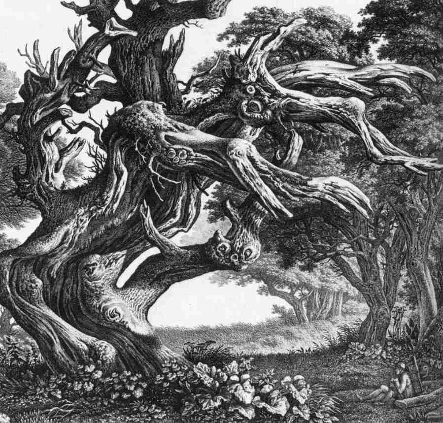 fanttree Art A4 Photo Print