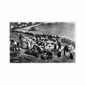 faroe sheep shearing jacobsens bokahandil Vintage A4 Photo Print
