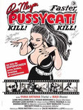 faster pussycat kill kill  06 film star poster A4 Photo Print
