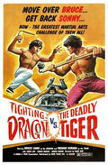 fighting dragon vs deadly tiger  01 film star poster A4 Photo Print