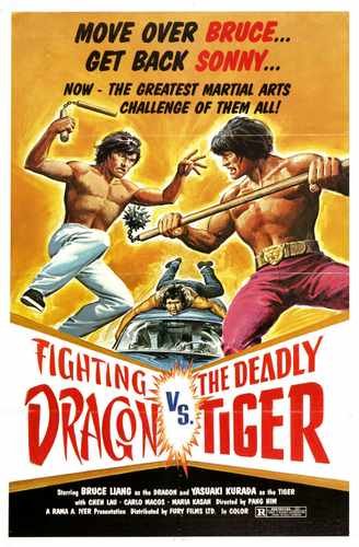 fighting dragon vs deadly tiger  01 film star poster A4 Photo Print