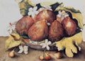 figs Art A4 Photo Print