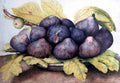 figs2 Art A4 Photo Print