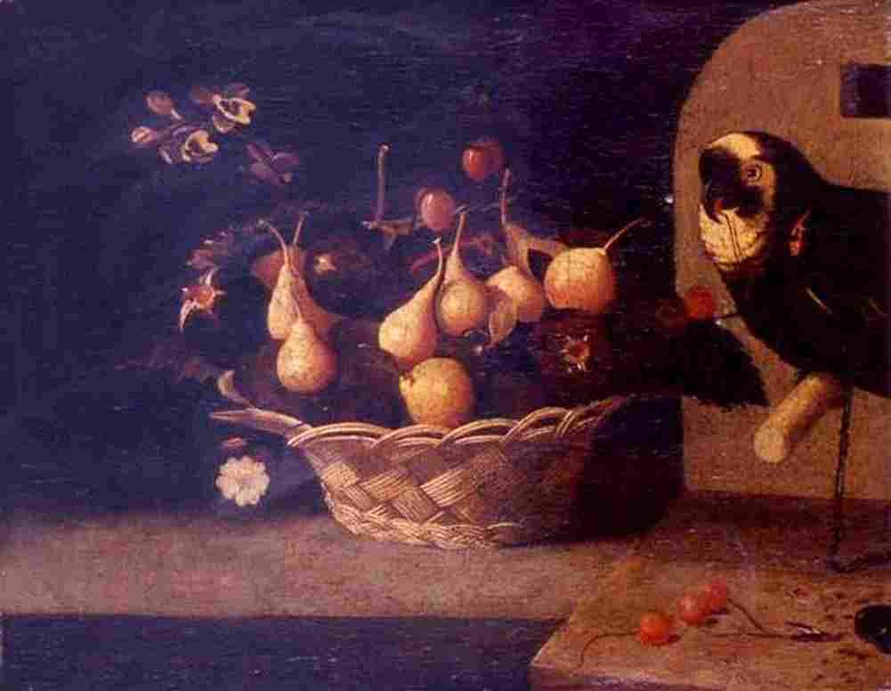 figueira a basket of figs with a parrot Art A4 Photo Print