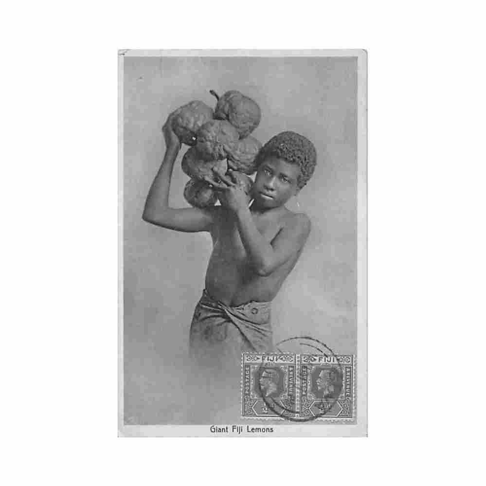 fiji giant lemons stinson studio 67 Vintage A4 Photo Print
