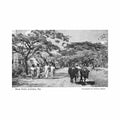 fiji lautoka road scene charles stinson 27 Vintage A4 Photo Print
