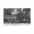 fiji ovalau village scene robbie and company ltd Vintage A4 Photo Print