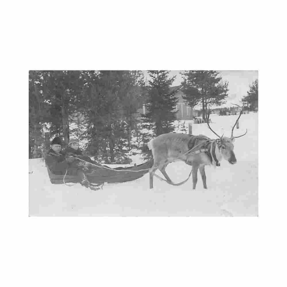 finland tampere reindeer sledge Vintage A4 Photo Print