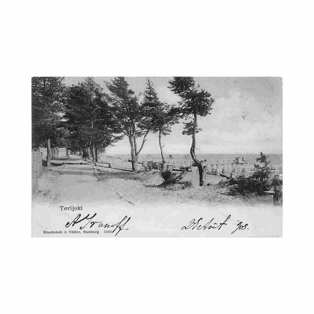 finland terijoki zelenogorsk landscape knackstedt nather 1502 Vintage A4 Photo Print