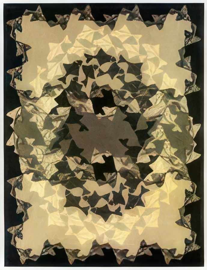 fish 1 mc escher 1940 A4 Photo Print