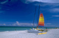 fl beach sailing 1980s 1990s A4 Photo Print