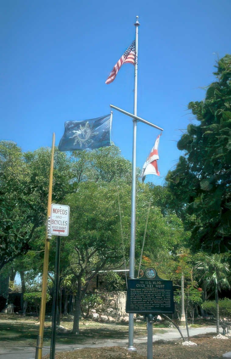 flagpole keywest navy Vintage A4 Photo Print