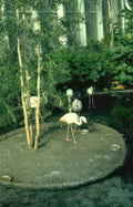 flamingos habitat concrete Vintage A4 Photo Print
