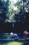 flamingos reflection pool Vintage A4 Photo Print