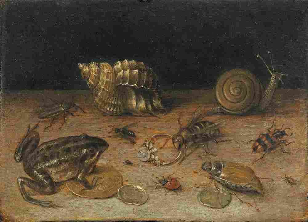 flegel Still life with Frog Art A4 Photo Print