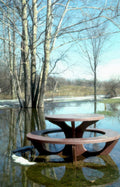 flood picnic table Vintage A4 Photo Print
