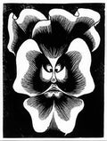 flor de pascua la pensee mc escher 1921 A4 Photo Print