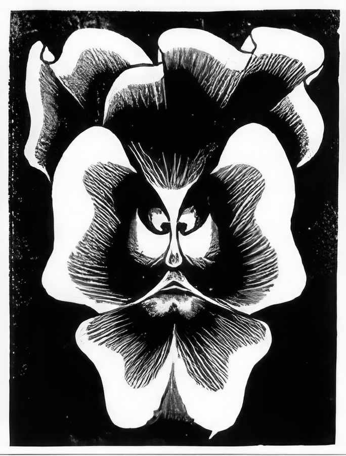 flor de pascua la pensee mc escher 1921 A4 Photo Print