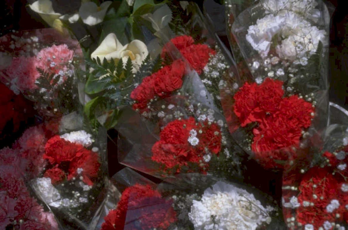 floral arrangement carnations 1980s 1990s A4 Photo Print