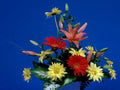 floral bouquet gerbera1980s 1990s A4 Photo Print