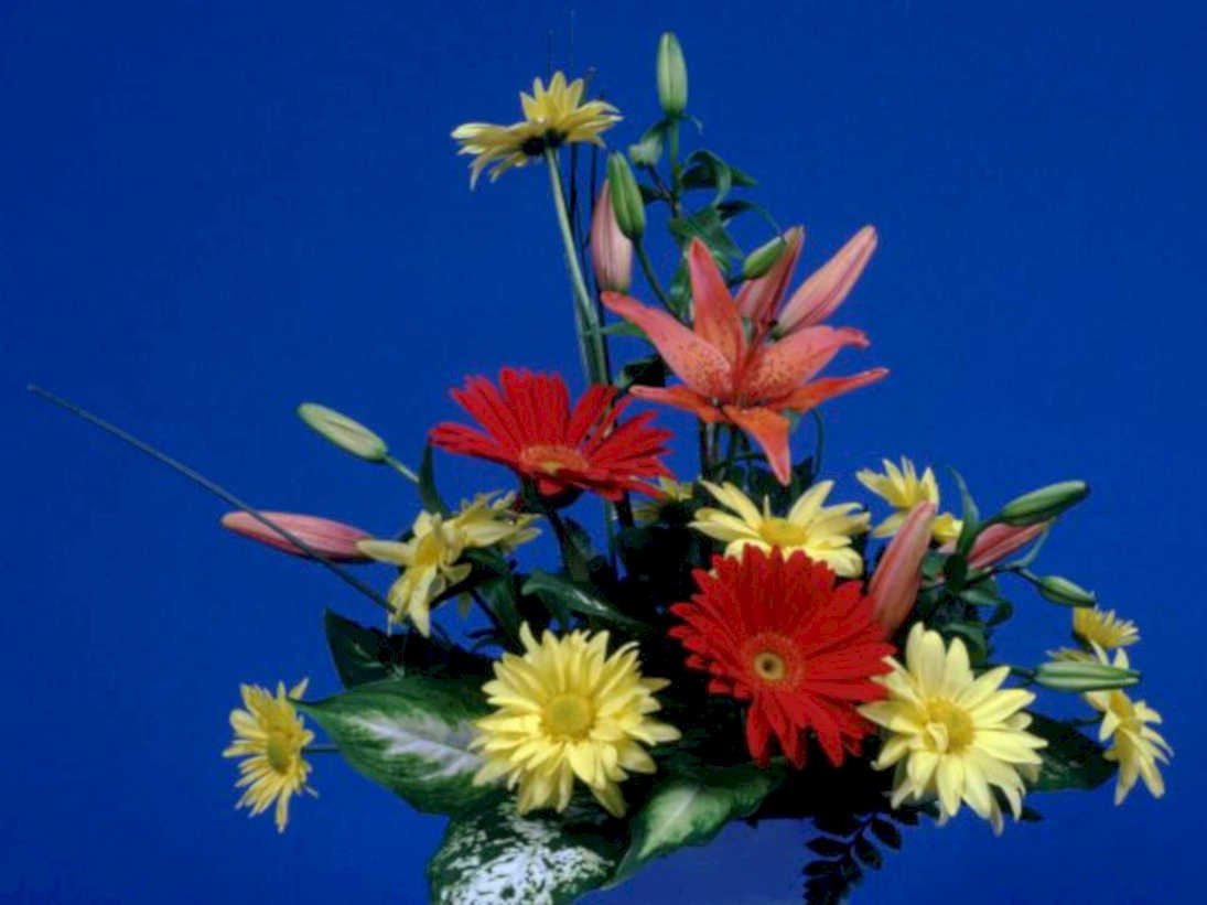 floral bouquet gerbera1980s 1990s A4 Photo Print