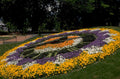 floral clock garden 1980s 1990s A4 Photo Print