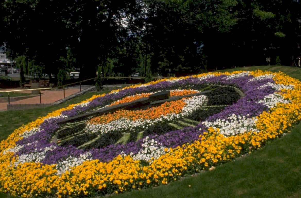floral clock garden 1980s 1990s A4 Photo Print