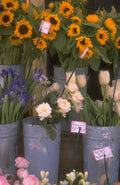 floral display market 1980s 1990s A4 Photo Print