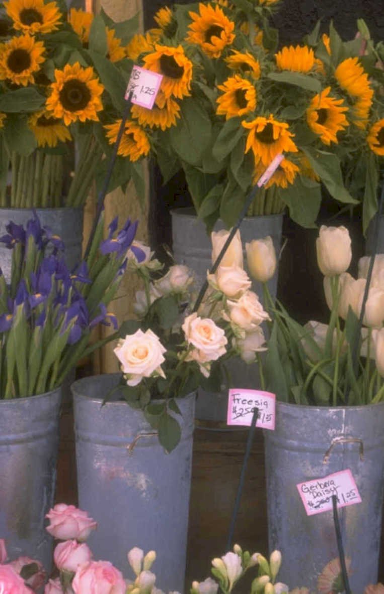 floral display market 1980s 1990s A4 Photo Print