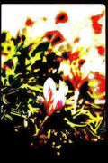 floral flower red Vintage A4 Photo Print