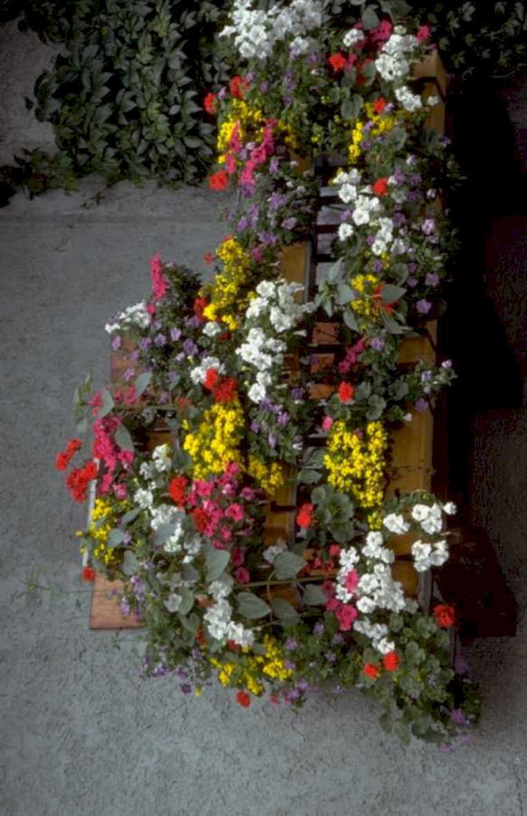 floral planter garden 1980s 1990s A4 Photo Print