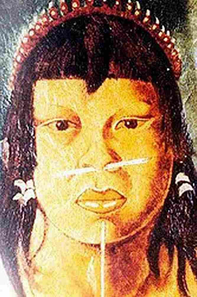florence hercules an apiaka indian Art A4 Photo Print
