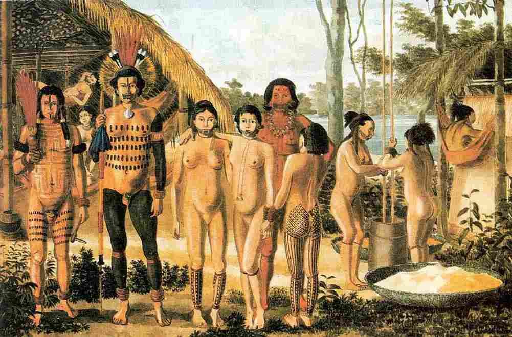 florence hercules apiaka indians in arinos river Art A4 Photo Print