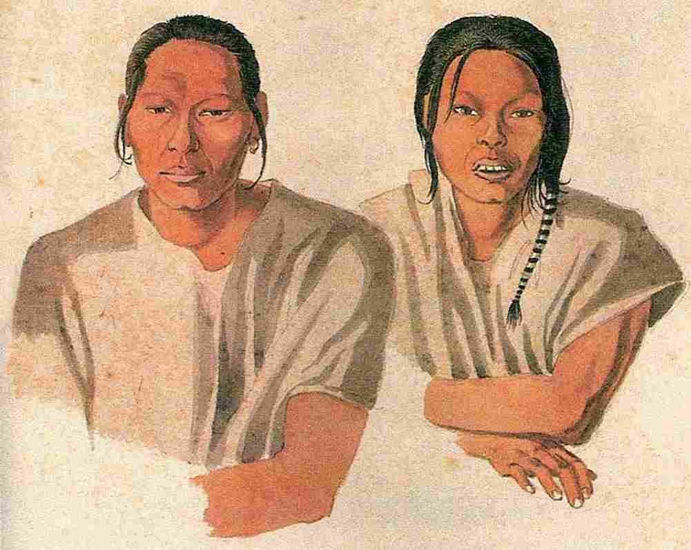 florence hercules guana indians Art A4 Photo Print