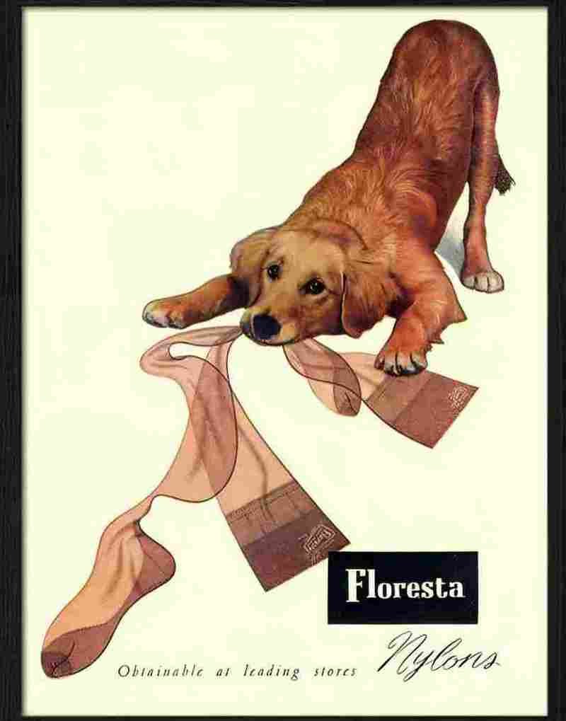 floresta nylons 1950s Advert A4 Photo Print