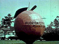 florida citrus balloon1980s 1990s A4 Photo Print
