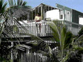 florida deck palmtrees1980s 1990s A4 Photo Print