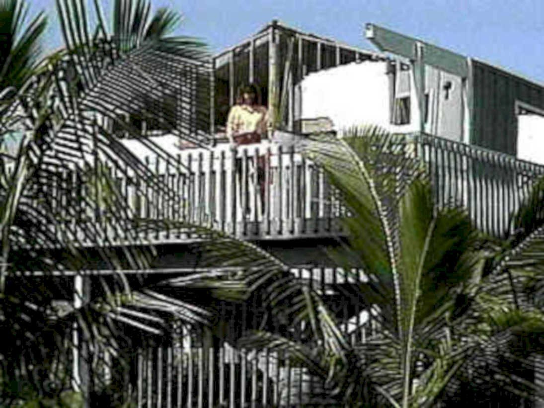 florida deck palmtrees1980s 1990s A4 Photo Print