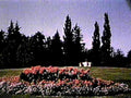 flower bed gazebo1980s 1990s A4 Photo Print