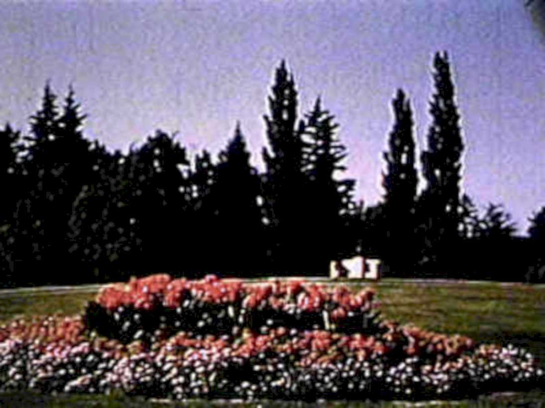 flower bed gazebo1980s 1990s A4 Photo Print