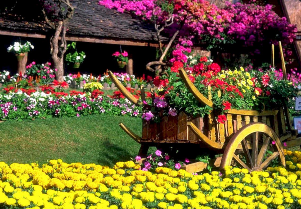 flower garden thai1980s 1990s A4 Photo Print