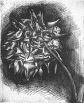 flower mc escher 1920 A4 Photo Print