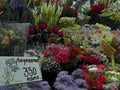 flower stall ramos1980s 1990s A4 Photo Print
