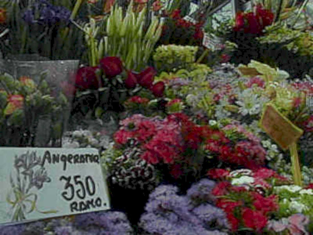 flower stall ramos1980s 1990s A4 Photo Print