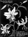 flowers mc escher 1931 A4 Photo Print