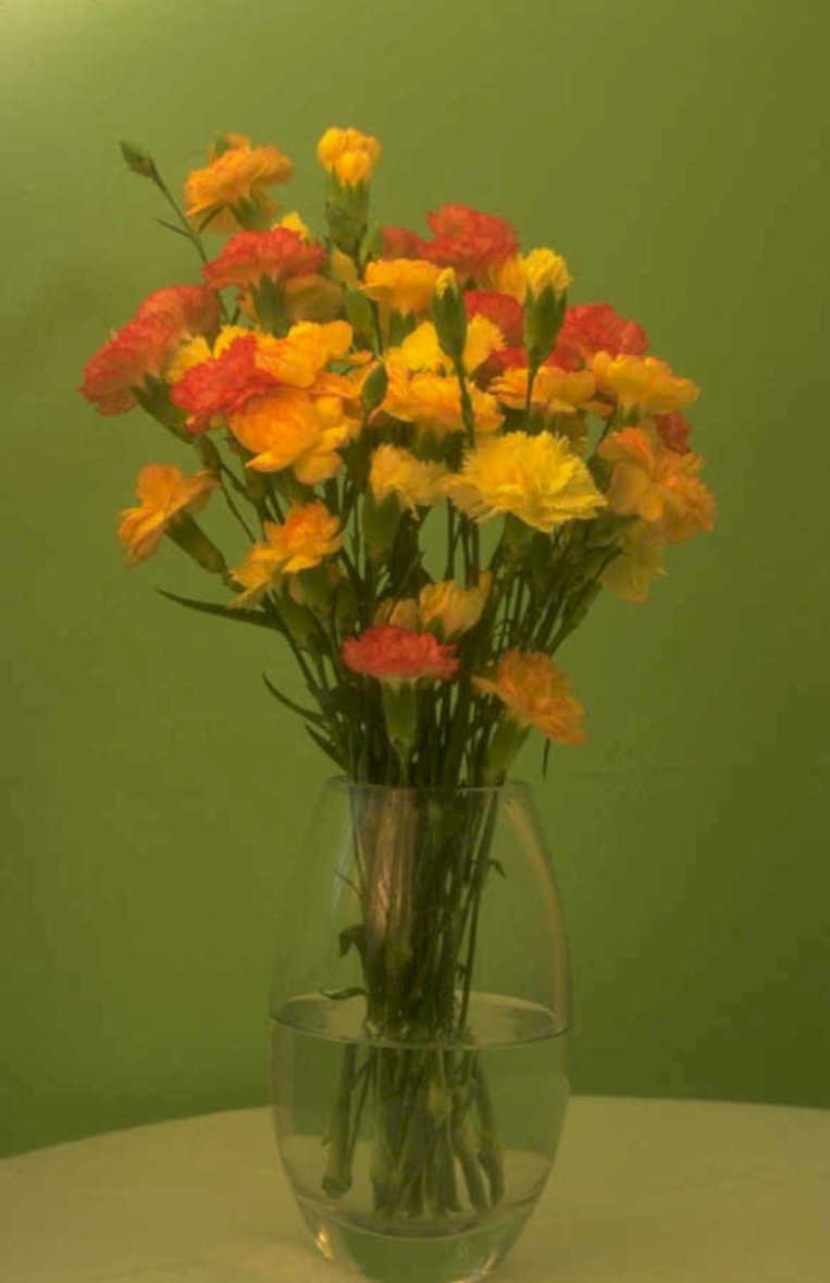 flowers vase carnations 1980s 1990s A4 Photo Print
