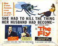 fly 1958  04 film star poster A4 Photo Print