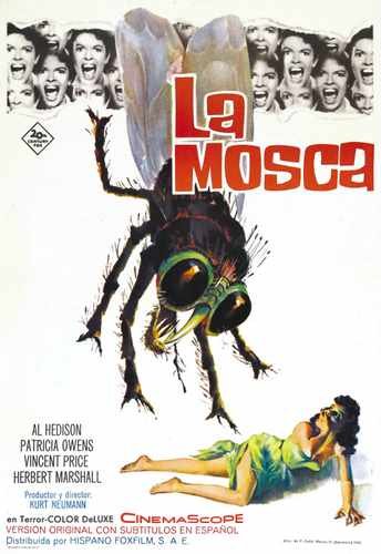 fly 1958  06 film star poster A4 Photo Print